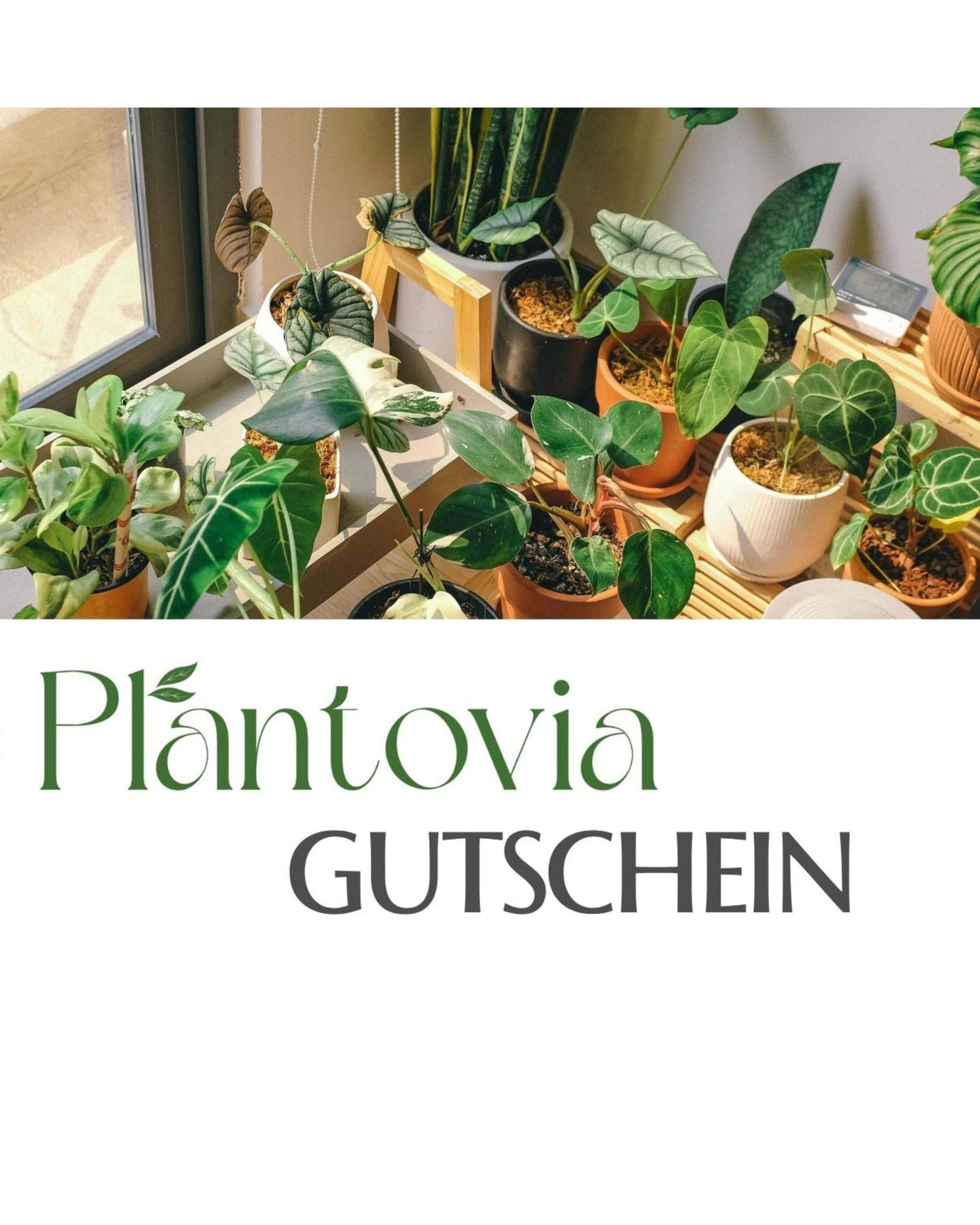 Gutscheine