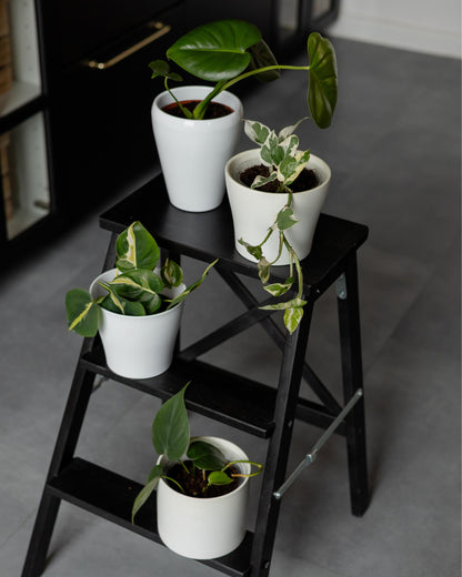 Unser Bestsellerset