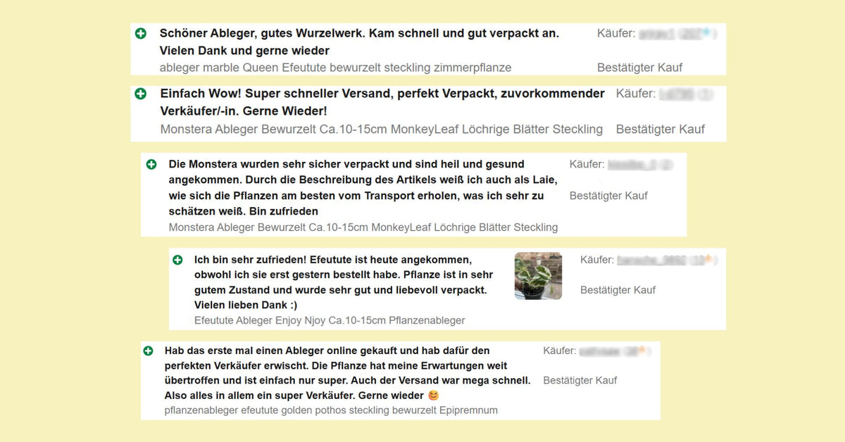 Unsere Bewertungen Kundenstimmen