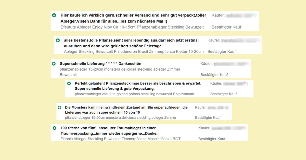 Unsere Bewertungen Kundenstimmen ausschnitte