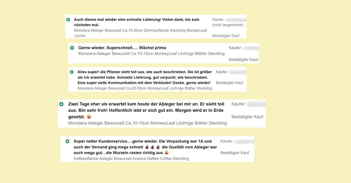 Unsere Kundenstimmen