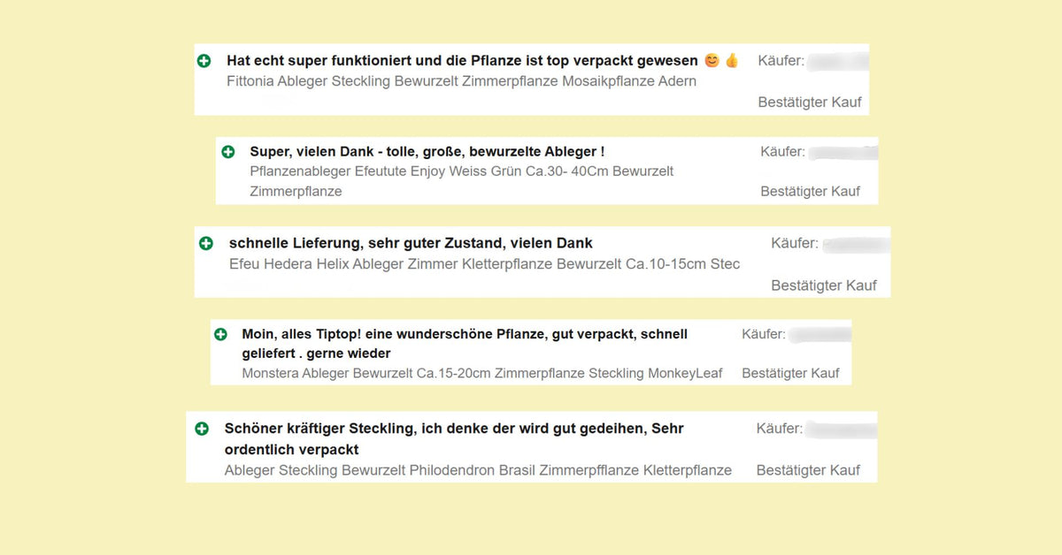 Bewertungen Beispiele