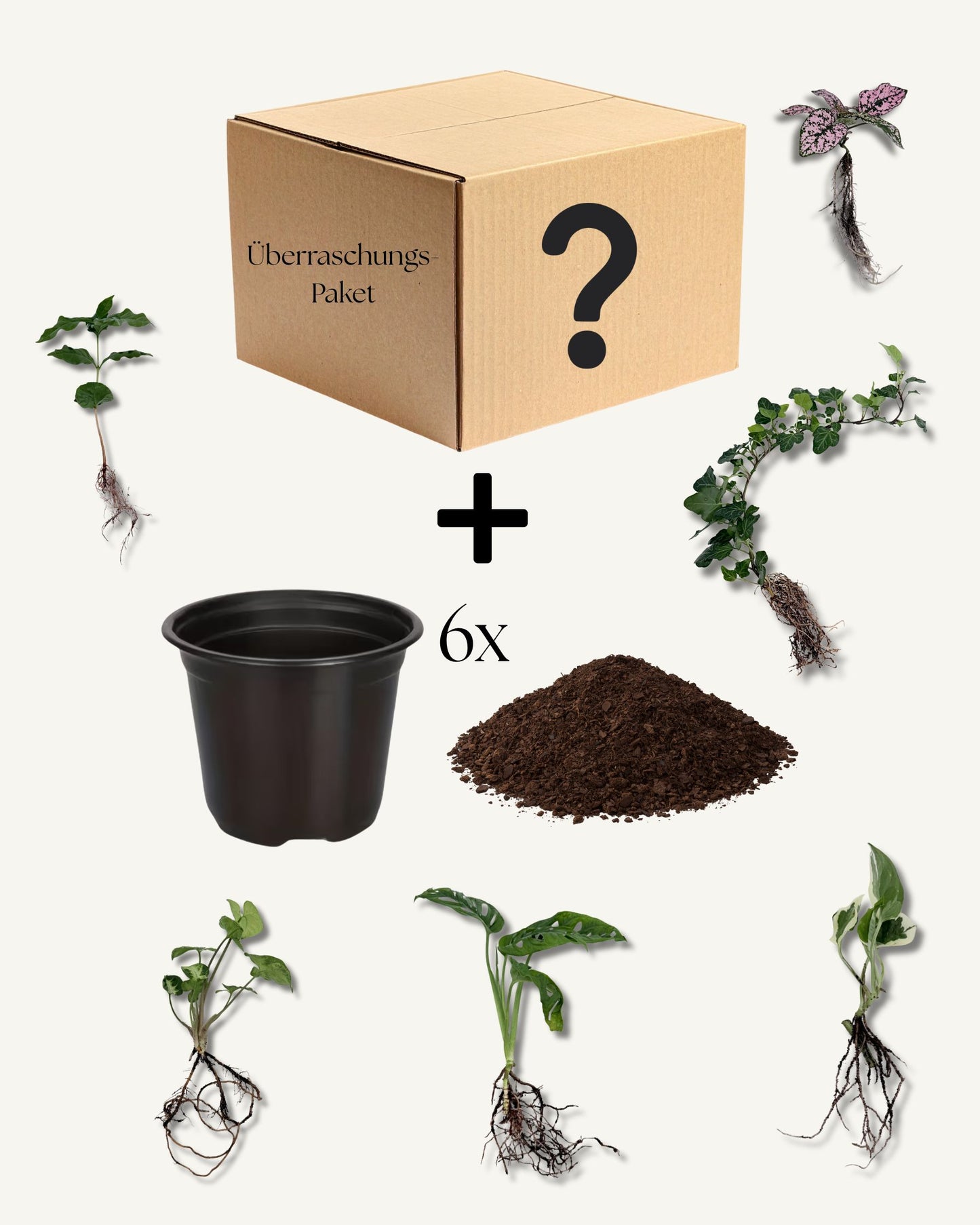 Mysterybox mit Erde und Töpfe