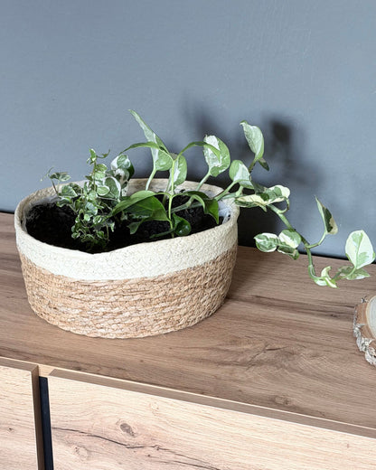 Pflanzkorb Natura | Handgeflochten aus Baumwolle (Ø 28cm)