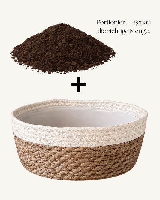 Pflanzkorb Natura Set Ø 28cm | Inkl. portionierter Spezial-Erde