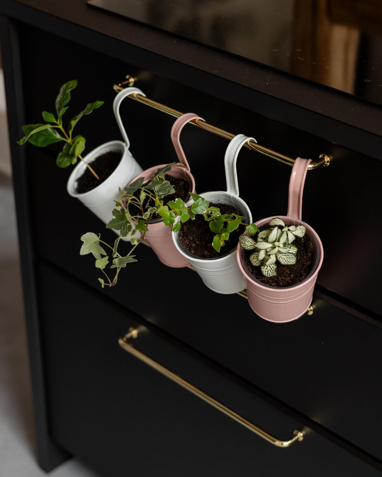 Unser mini jungle set