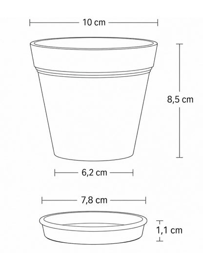 kleiner topf flora maße