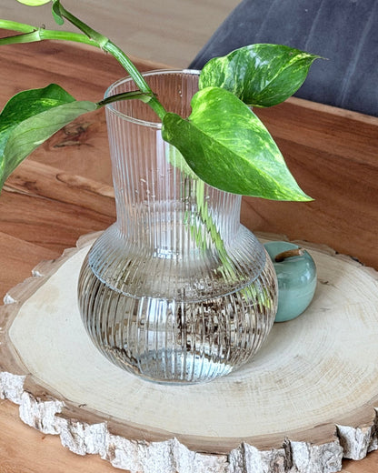 Glasvase Ova – Geriffelte Design-Vase aus Glas (17 cm)