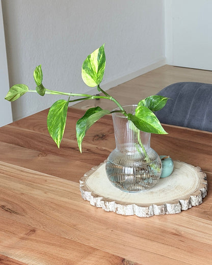 Glasvase Ova – Geriffelte Design-Vase aus Glas (17 cm)