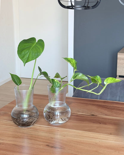 Glasvase Ova – Geriffelte Design-Vase aus Glas (17 cm)