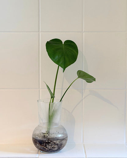 Glasvase Ova – Geriffelte Design-Vase aus Glas (17 cm)