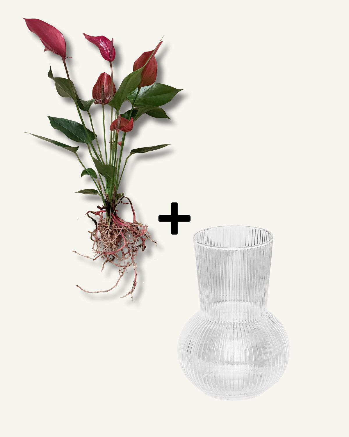 flamingoblume mit vase im set