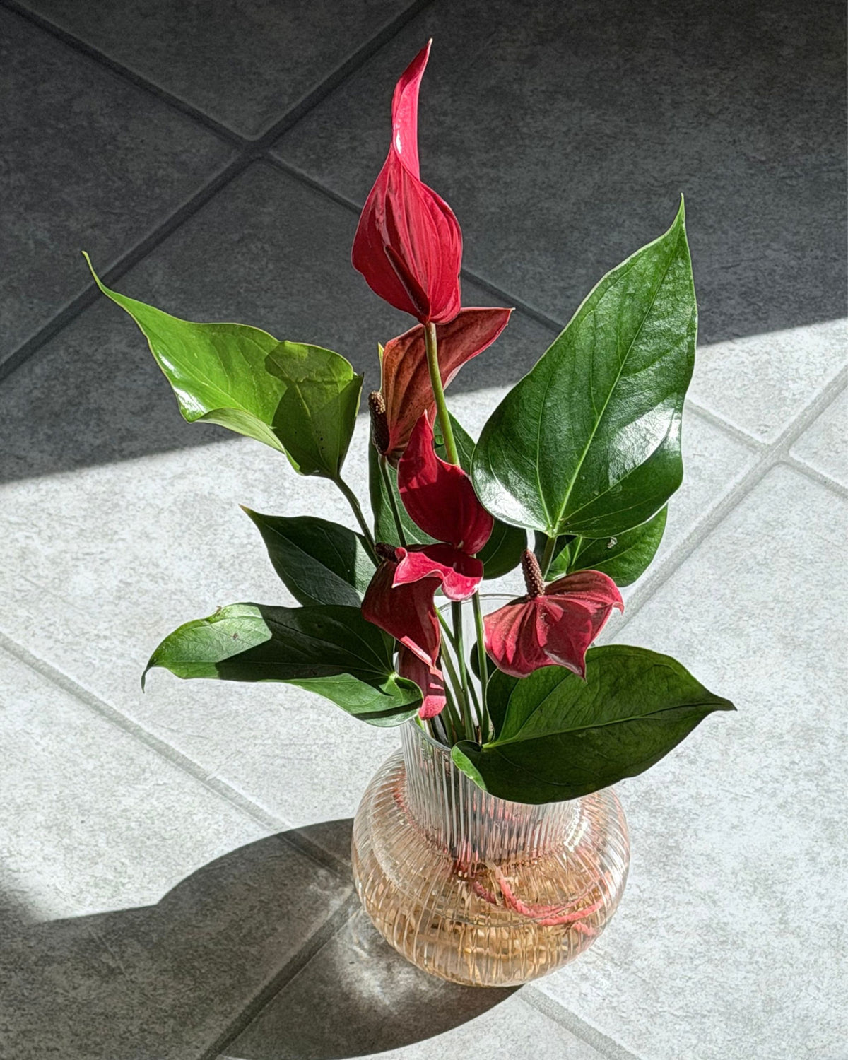 flamingoblume mit vase im set beispielbild