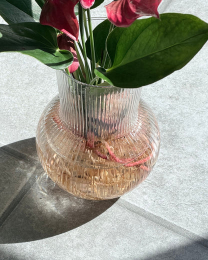 flamingoblume mit vase im set hydrokultur