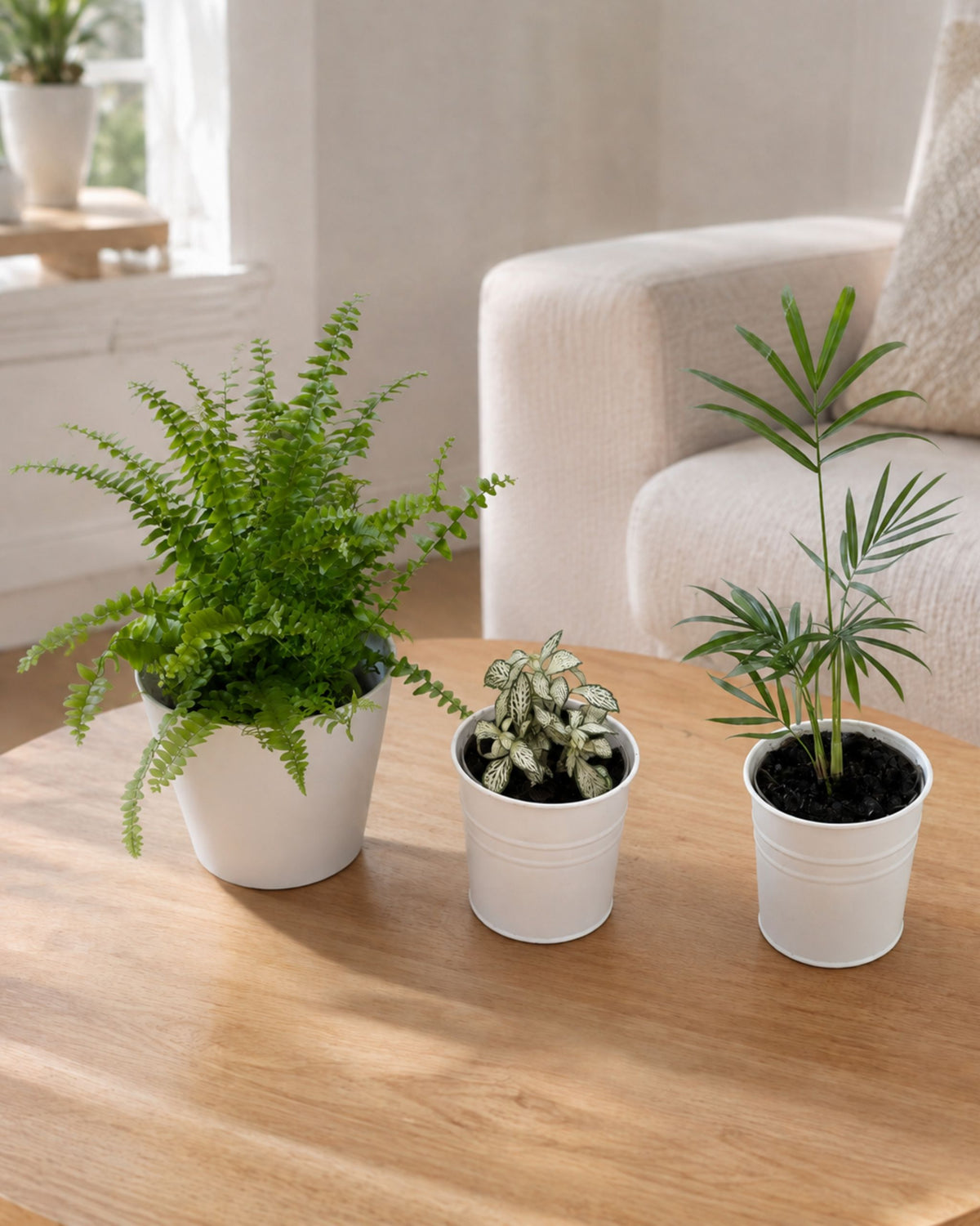 trio haustierfreundlich set beispielbild