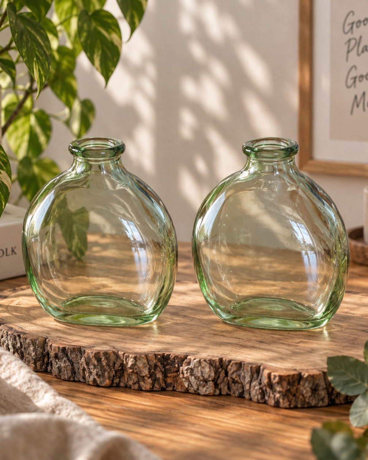 vase grün hydrokultur